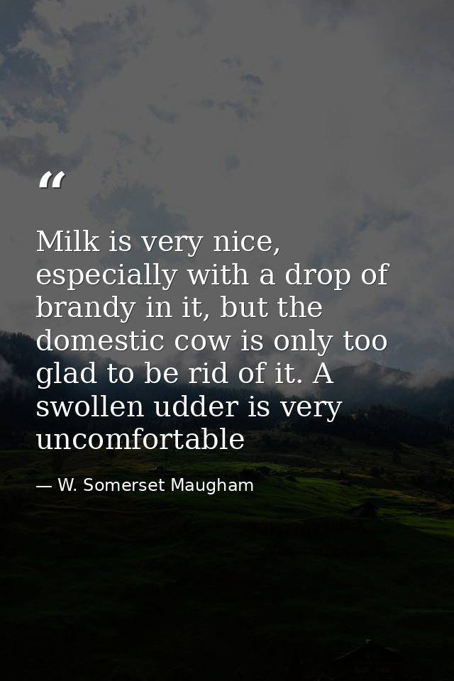 Milk is very nice, especially with a drop of brandy in it, but the domestic cow is only too glad to be rid of it. A swol — W. Somerset Maugham