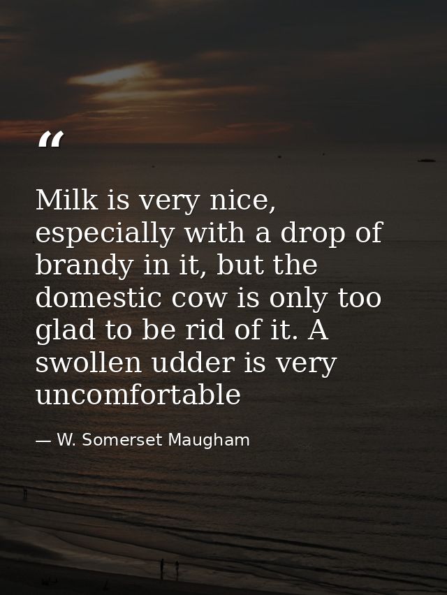 Milk is very nice, especially with a drop of brandy in it, but the domestic cow is only too glad to be rid of it. A swol — W. Somerset Maugham