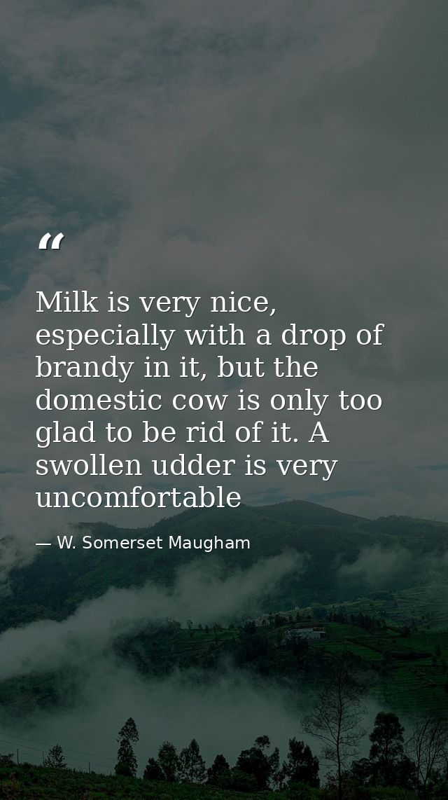 Milk is very nice, especially with a drop of brandy in it, but the domestic cow is only too glad to be rid of it. A swol — W. Somerset Maugham