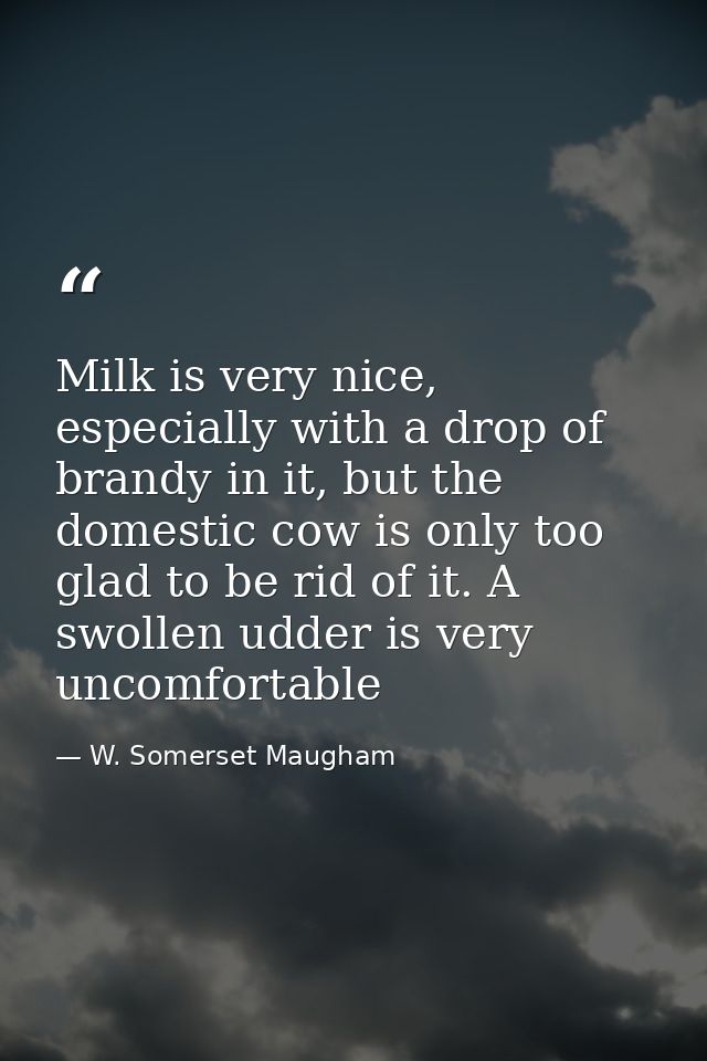 Milk is very nice, especially with a drop of brandy in it, but the domestic cow is only too glad to be rid of it. A swol — W. Somerset Maugham