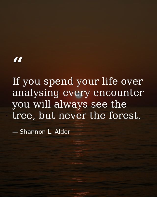 If you spend your life over analysing every encounter you will always see the tree, but never the forest. — Shannon L. Alder