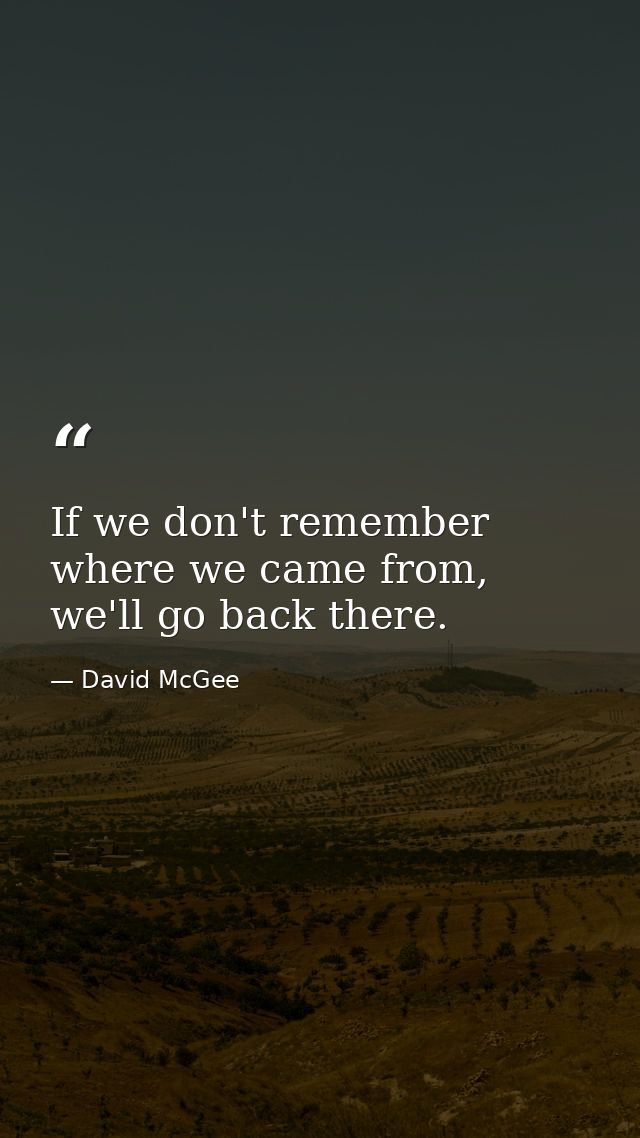 If we don't remember where we came from, we'll go back there. — David McGee