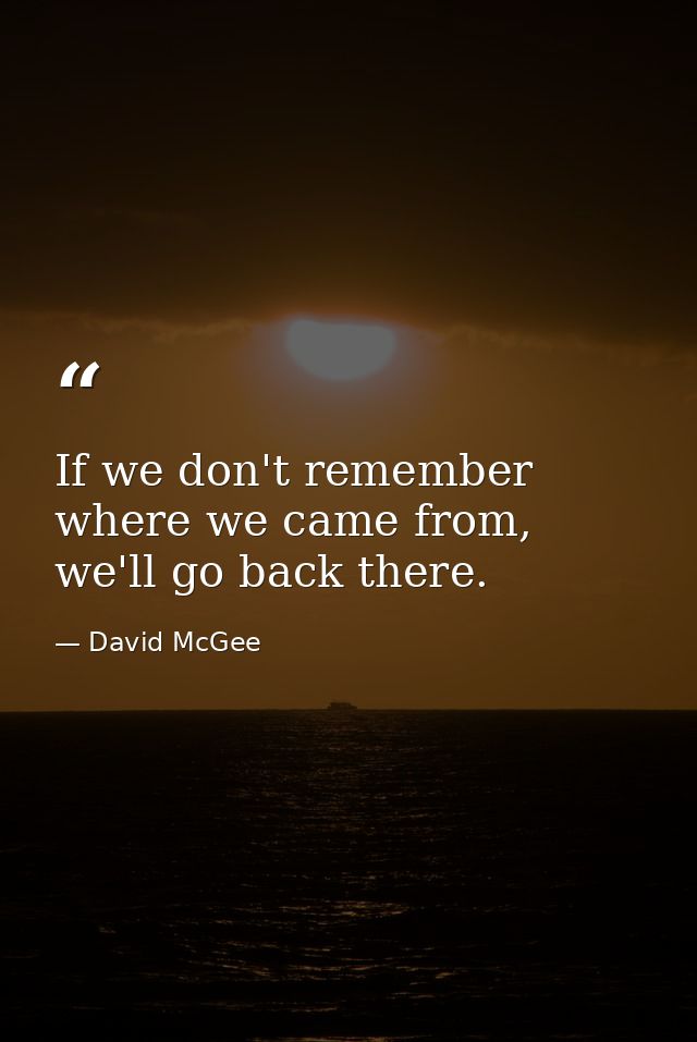 If we don't remember where we came from, we'll go back there. — David McGee