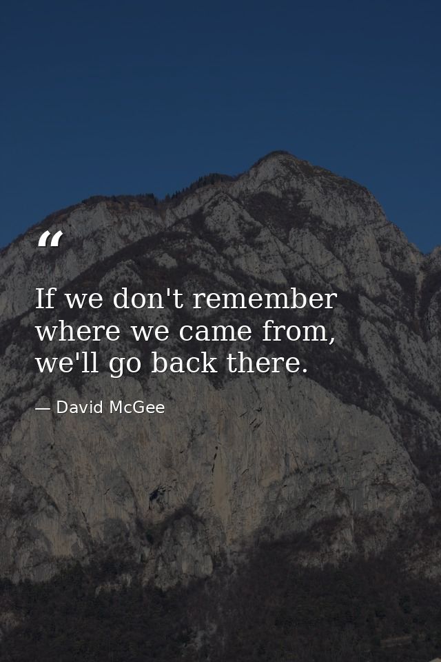 If we don't remember where we came from, we'll go back there. — David McGee