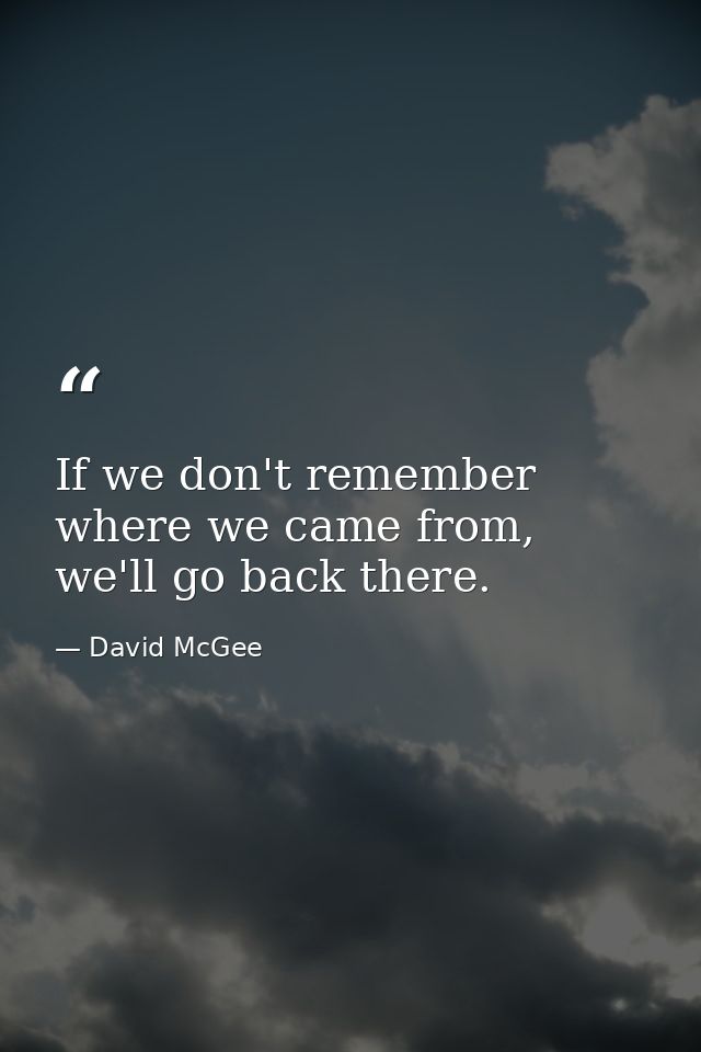 If we don't remember where we came from, we'll go back there. — David McGee
