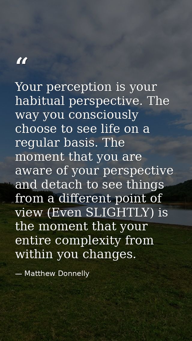 Your perception is your habitual perspective. The way you consciously choose to see life on a regular basis. The moment  — Matthew Donnelly