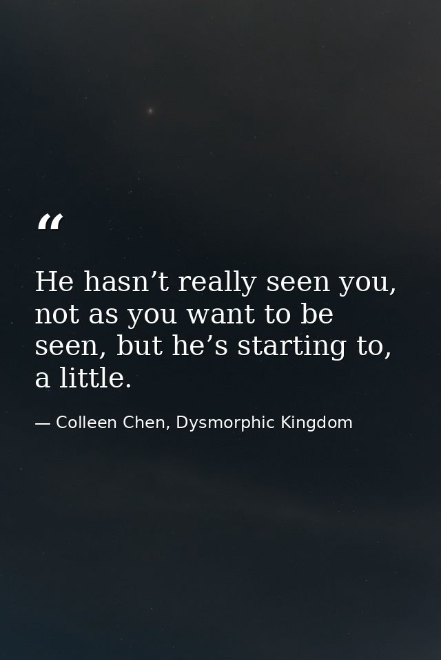 He hasn’t really seen you, not as you want to be seen, but he’s starting to, a little. — Colleen Chen, Dysmorphic Kingdom