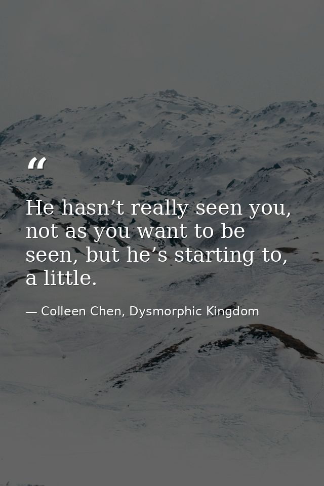 He hasn’t really seen you, not as you want to be seen, but he’s starting to, a little. — Colleen Chen, Dysmorphic Kingdom