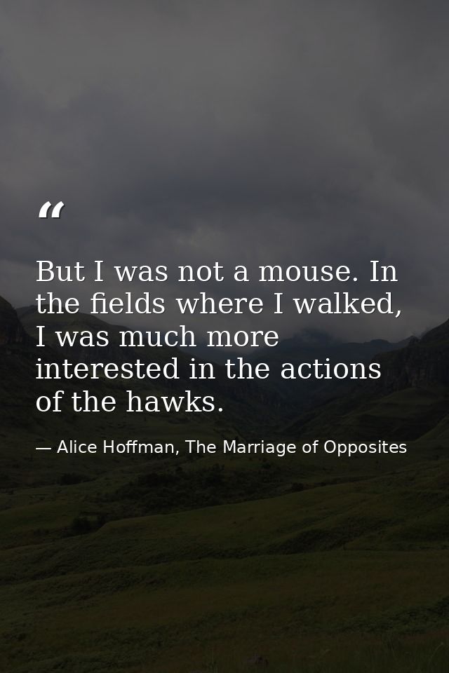 But I was not a mouse. In the fields where I walked, I was much more interested in the actions of the hawks. — Alice Hoffman, The Marriage of Opposites