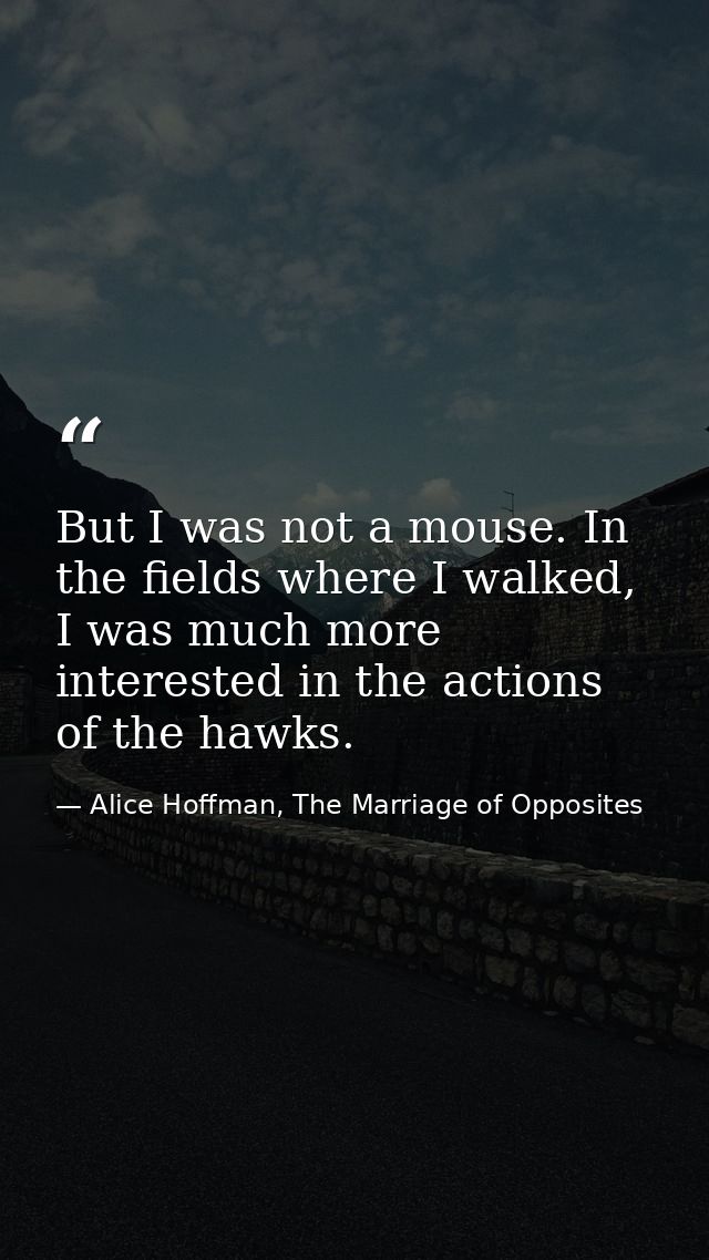 But I was not a mouse. In the fields where I walked, I was much more interested in the actions of the hawks. — Alice Hoffman, The Marriage of Opposites