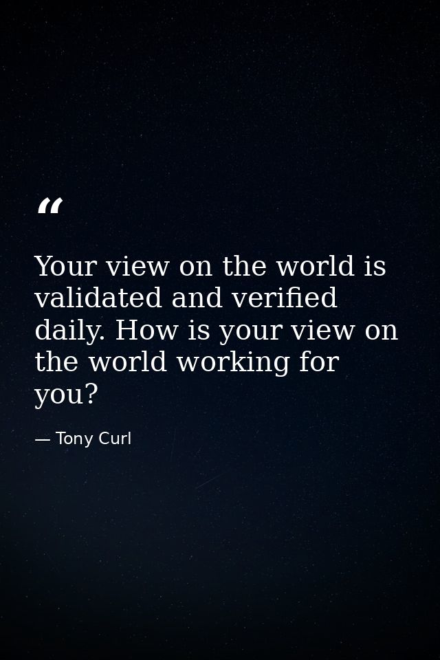 Your view on the world is validated and verified daily. How is your view on the world working for you? — Tony Curl