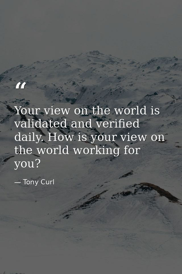 Your view on the world is validated and verified daily. How is your view on the world working for you? — Tony Curl