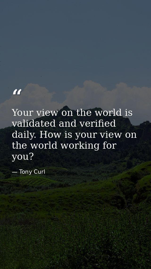 Your view on the world is validated and verified daily. How is your view on the world working for you? — Tony Curl