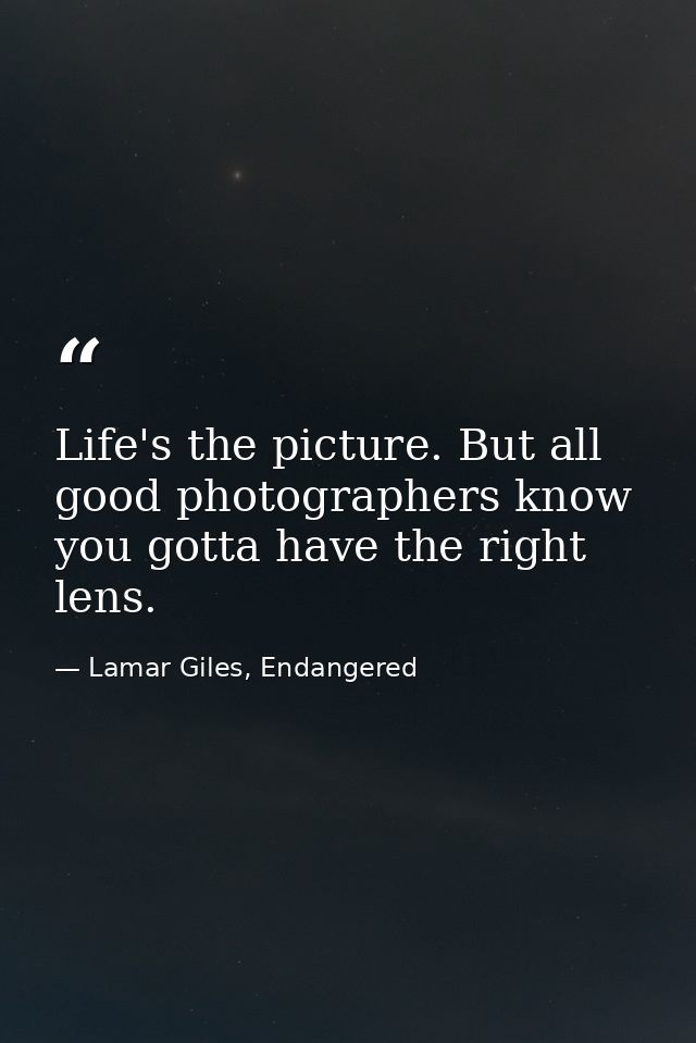 Life's the picture. But all good photographers know you gotta have the right lens. — Lamar Giles, Endangered