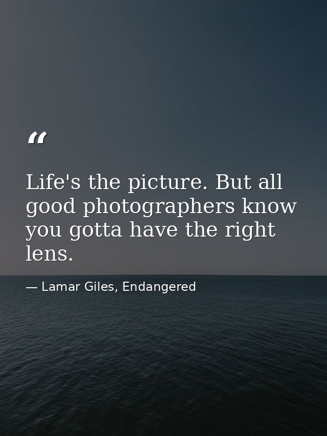 Life's the picture. But all good photographers know you gotta have the right lens. — Lamar Giles, Endangered