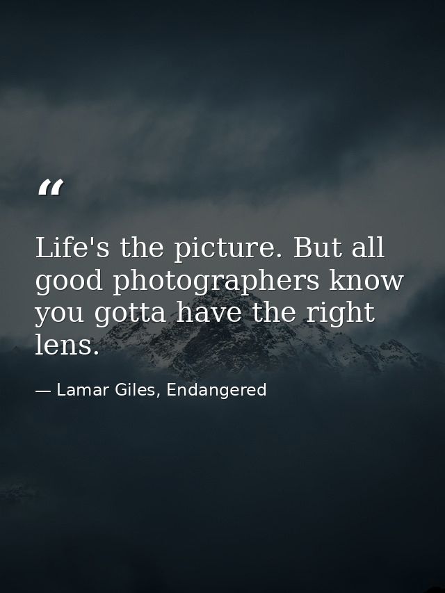 Life's the picture. But all good photographers know you gotta have the right lens. — Lamar Giles, Endangered