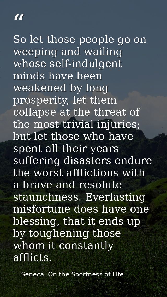 So let those people go on weeping and wailing whose self-indulgent minds have been weakened by long prosperity, let them — Seneca, On the Shortness of Life