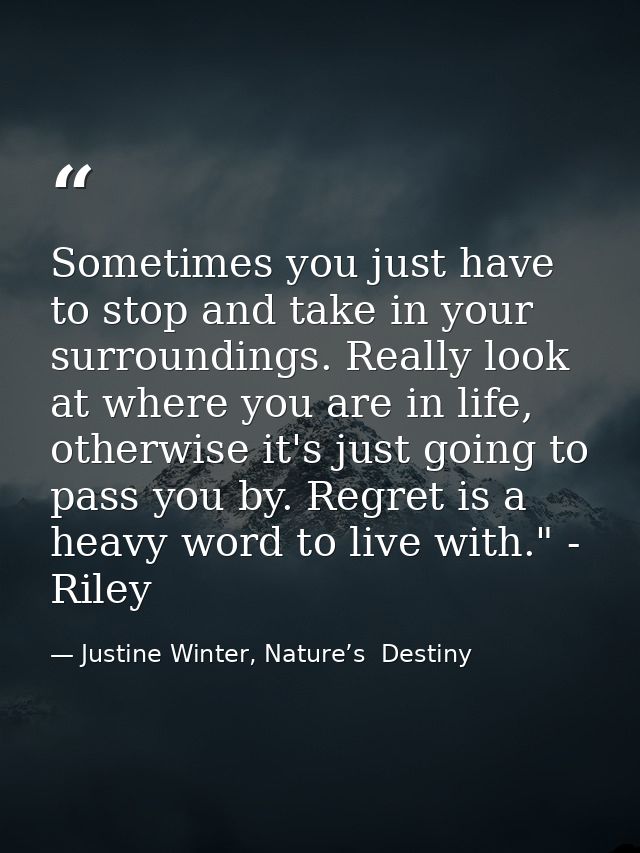 Sometimes you just have to stop and take in your surroundings. Really look at where you are in life, otherwise it's just — Justine Winter, Nature’s  Destiny
