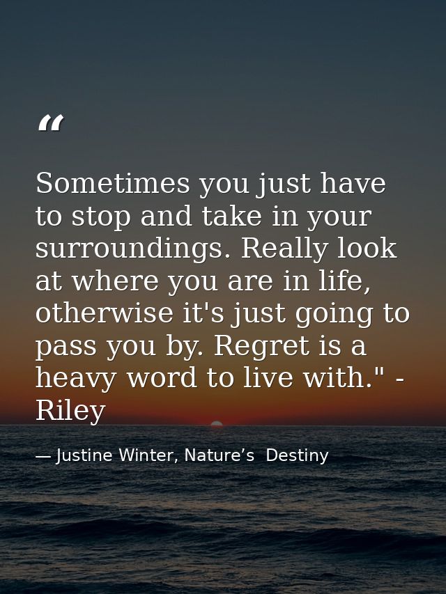 Sometimes you just have to stop and take in your surroundings. Really look at where you are in life, otherwise it's just — Justine Winter, Nature’s  Destiny