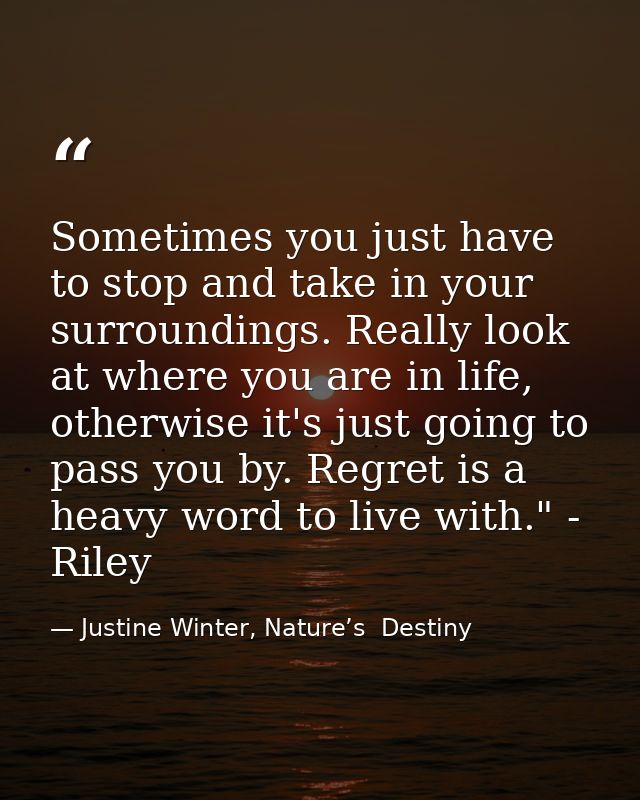 Sometimes you just have to stop and take in your surroundings. Really look at where you are in life, otherwise it's just — Justine Winter, Nature’s  Destiny