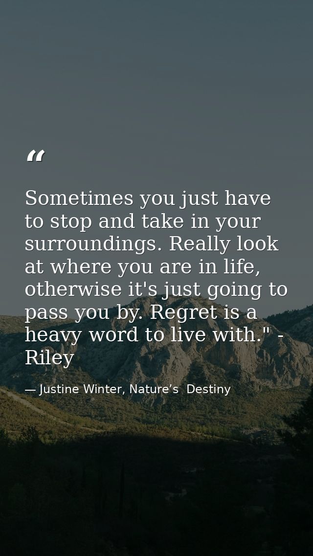 Sometimes you just have to stop and take in your surroundings. Really look at where you are in life, otherwise it's just — Justine Winter, Nature’s  Destiny