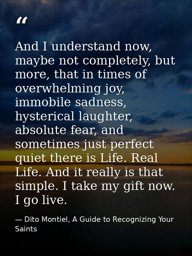 And I understand now, maybe not completely, but more, that in times of overwhelming joy, immobile sadness, hysterical la — Dito Montiel, A Guide to Recognizing Your Saints