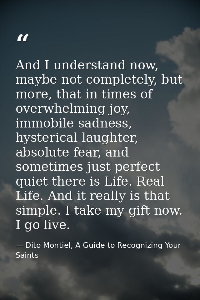 And I understand now, maybe not completely, but more, that in times of overwhelming joy, immobile sadness, hysterical la — Dito Montiel, A Guide to Recognizing Your Saints