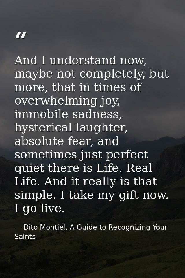 And I understand now, maybe not completely, but more, that in times of overwhelming joy, immobile sadness, hysterical la — Dito Montiel, A Guide to Recognizing Your Saints