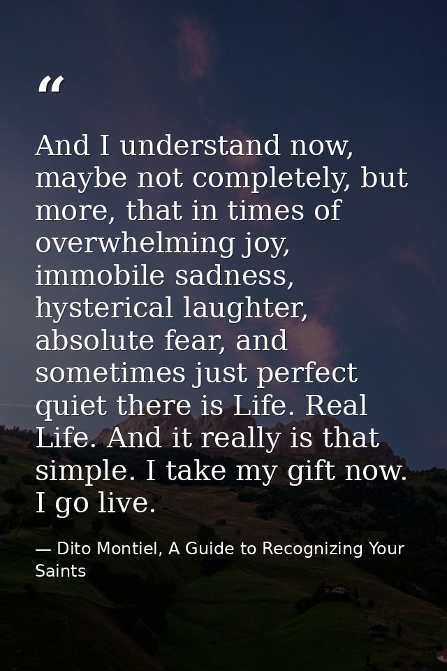 And I understand now, maybe not completely, but more, that in times of overwhelming joy, immobile sadness, hysterical la — Dito Montiel, A Guide to Recognizing Your Saints