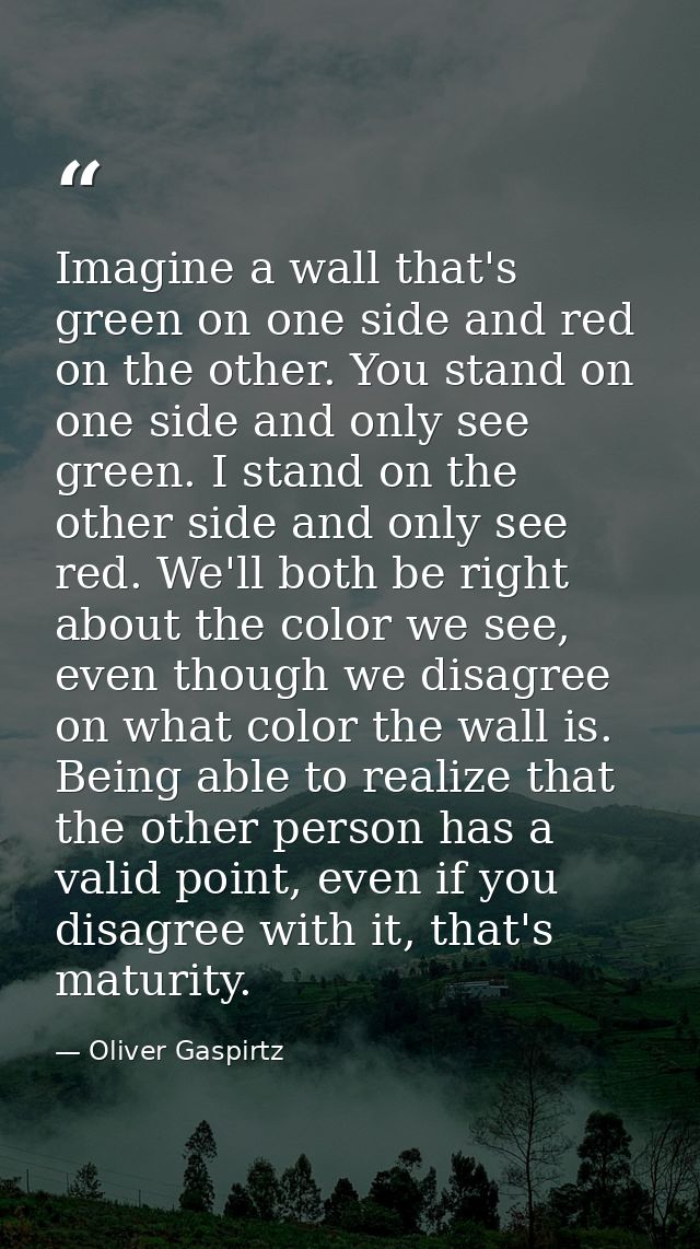 Imagine a wall that's green on one side and red on the other. You stand on one side and only see green. I stand on the o — Oliver Gaspirtz