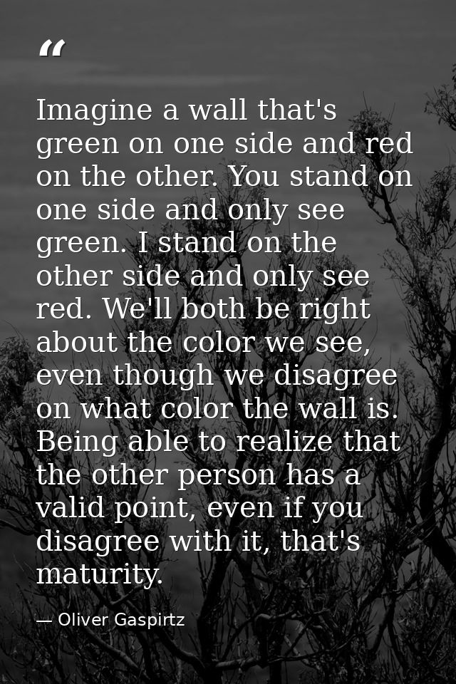 Imagine a wall that's green on one side and red on the other. You stand on one side and only see green. I stand on the o — Oliver Gaspirtz