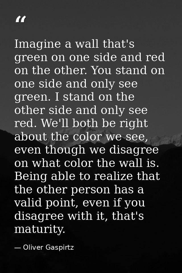 Imagine a wall that's green on one side and red on the other. You stand on one side and only see green. I stand on the o — Oliver Gaspirtz