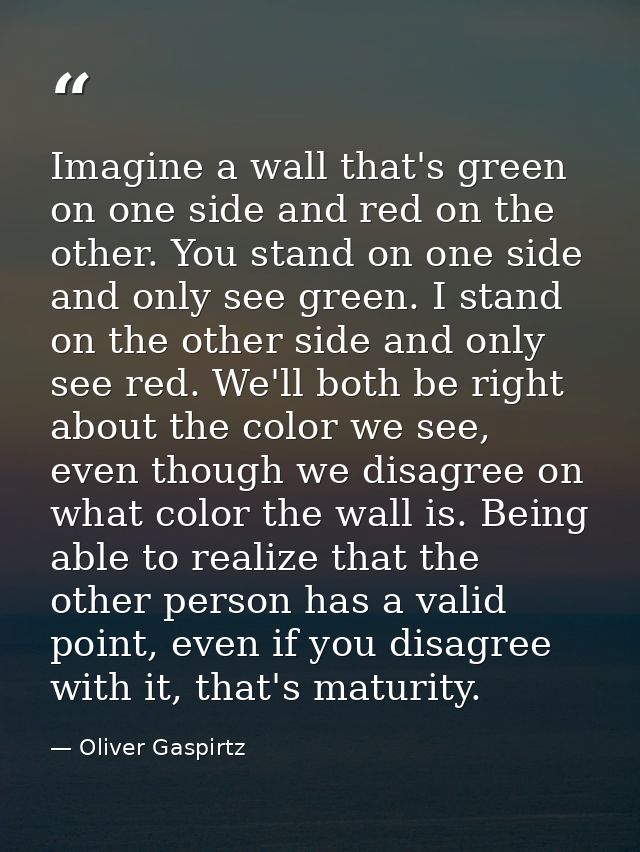 Imagine a wall that's green on one side and red on the other. You stand on one side and only see green. I stand on the o — Oliver Gaspirtz