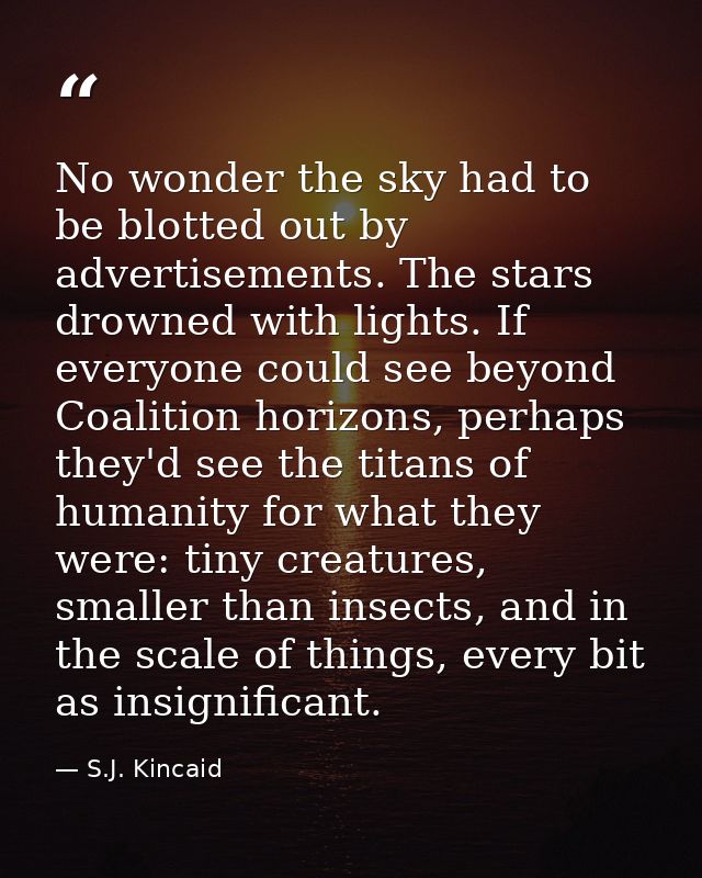 No wonder the sky had to be blotted out by advertisements. The stars drowned with lights. If everyone could see beyond C — S.J. Kincaid