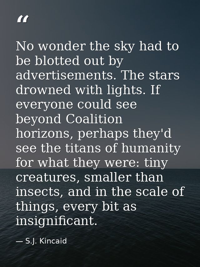 No wonder the sky had to be blotted out by advertisements. The stars drowned with lights. If everyone could see beyond C — S.J. Kincaid