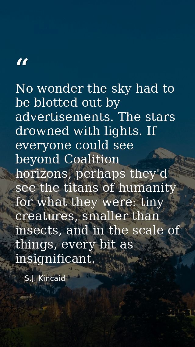 No wonder the sky had to be blotted out by advertisements. The stars drowned with lights. If everyone could see beyond C — S.J. Kincaid
