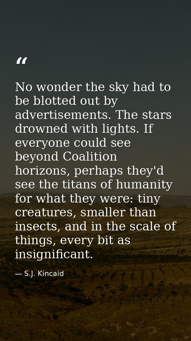 No wonder the sky had to be blotted out by advertisements. The stars drowned with lights. If everyone could see beyond C — S.J. Kincaid