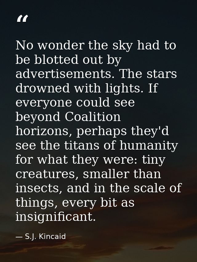 No wonder the sky had to be blotted out by advertisements. The stars drowned with lights. If everyone could see beyond C — S.J. Kincaid