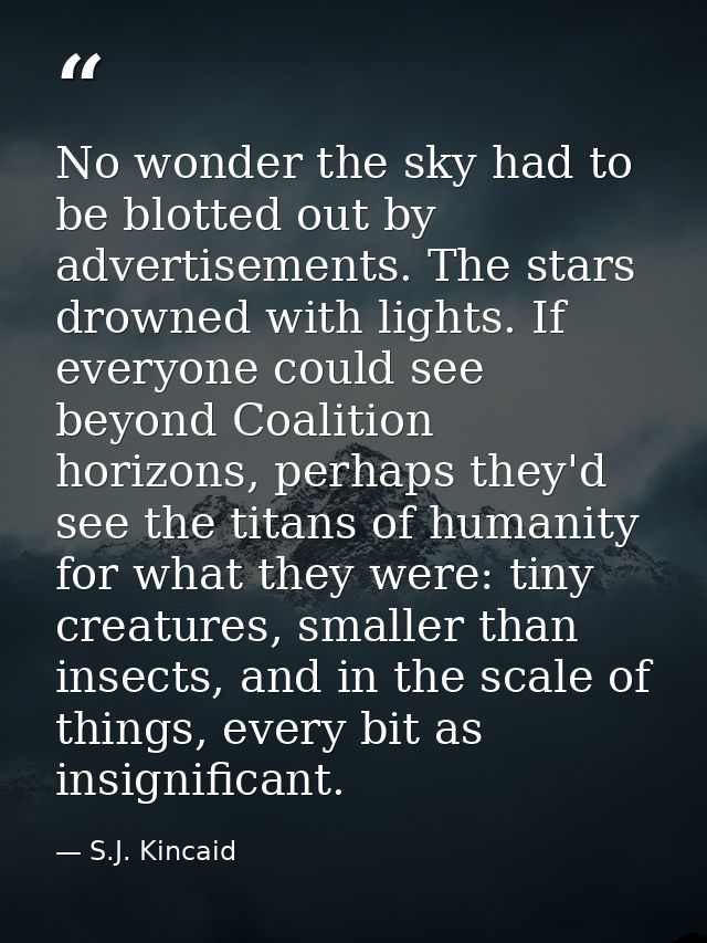 No wonder the sky had to be blotted out by advertisements. The stars drowned with lights. If everyone could see beyond C — S.J. Kincaid