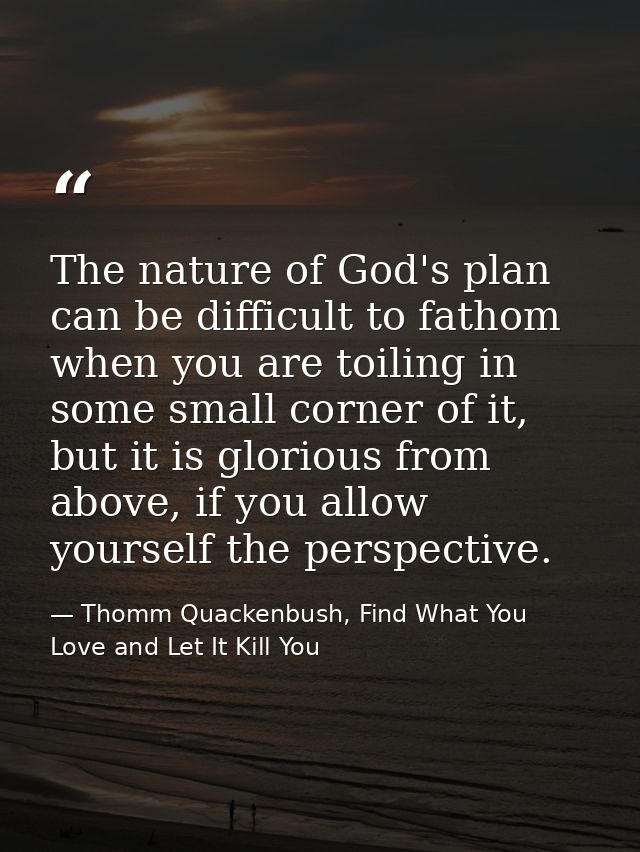 The nature of God's plan can be difficult to fathom when you are toiling in some small corner of it, but it is glorious  — Thomm Quackenbush, Find What You Love and Let It Kill You