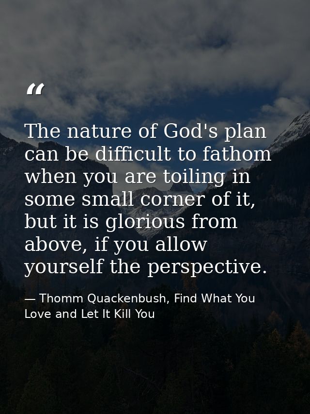 The nature of God's plan can be difficult to fathom when you are toiling in some small corner of it, but it is glorious  — Thomm Quackenbush, Find What You Love and Let It Kill You