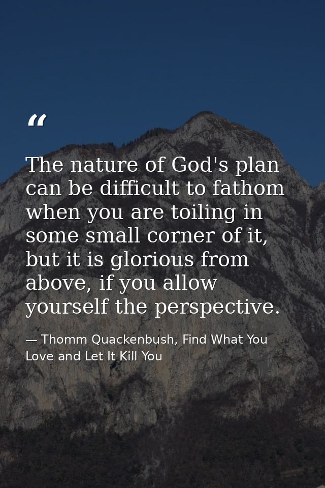 The nature of God's plan can be difficult to fathom when you are toiling in some small corner of it, but it is glorious  — Thomm Quackenbush, Find What You Love and Let It Kill You