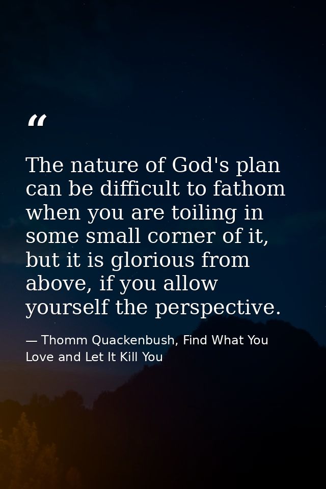 The nature of God's plan can be difficult to fathom when you are toiling in some small corner of it, but it is glorious  — Thomm Quackenbush, Find What You Love and Let It Kill You