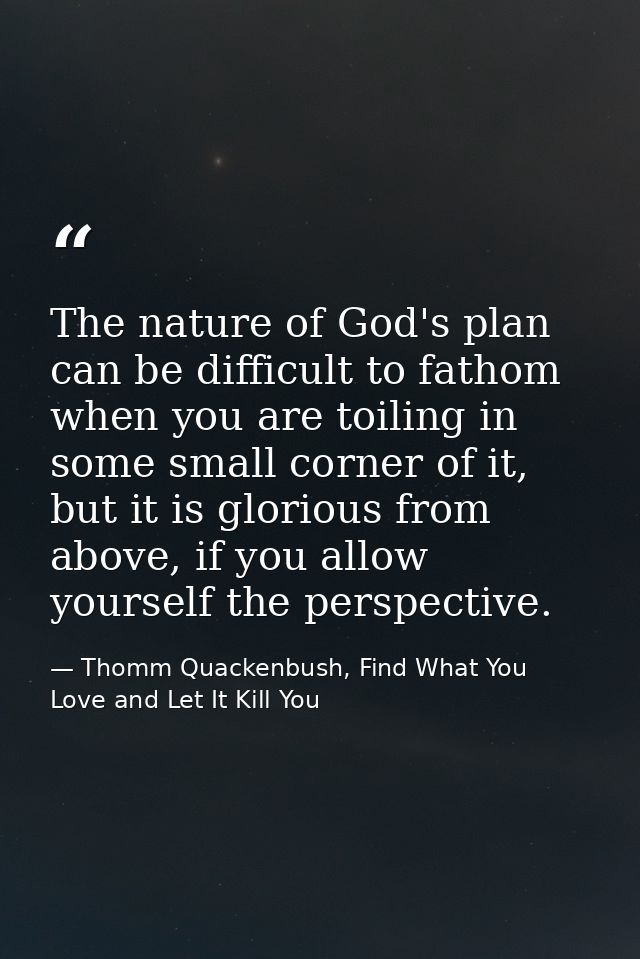 The nature of God's plan can be difficult to fathom when you are toiling in some small corner of it, but it is glorious  — Thomm Quackenbush, Find What You Love and Let It Kill You