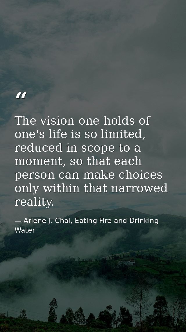 The vision one holds of one's life is so limited, reduced in scope to a moment, so that each person can make choices onl — Arlene J. Chai, Eating Fire and Drinking Water