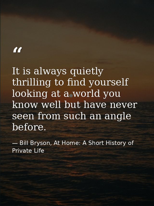 It is always quietly thrilling to find yourself looking at a world you know well but have never seen from such an angle  — Bill Bryson, At Home: A Short History of Private Life