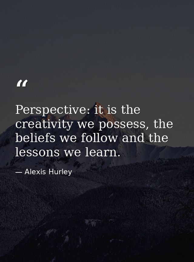 Perspective: it is the creativity we possess, the beliefs we follow and the lessons we learn. — Alexis Hurley