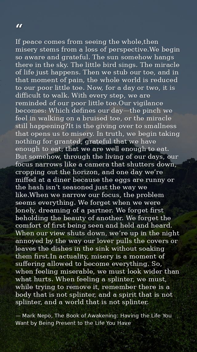 If peace comes from seeing the whole,then misery stems from a loss of perspective.We begin so aware and grateful. The su — Mark Nepo, The Book of Awakening: Having the Life You Want by Being Present to the Life You Have