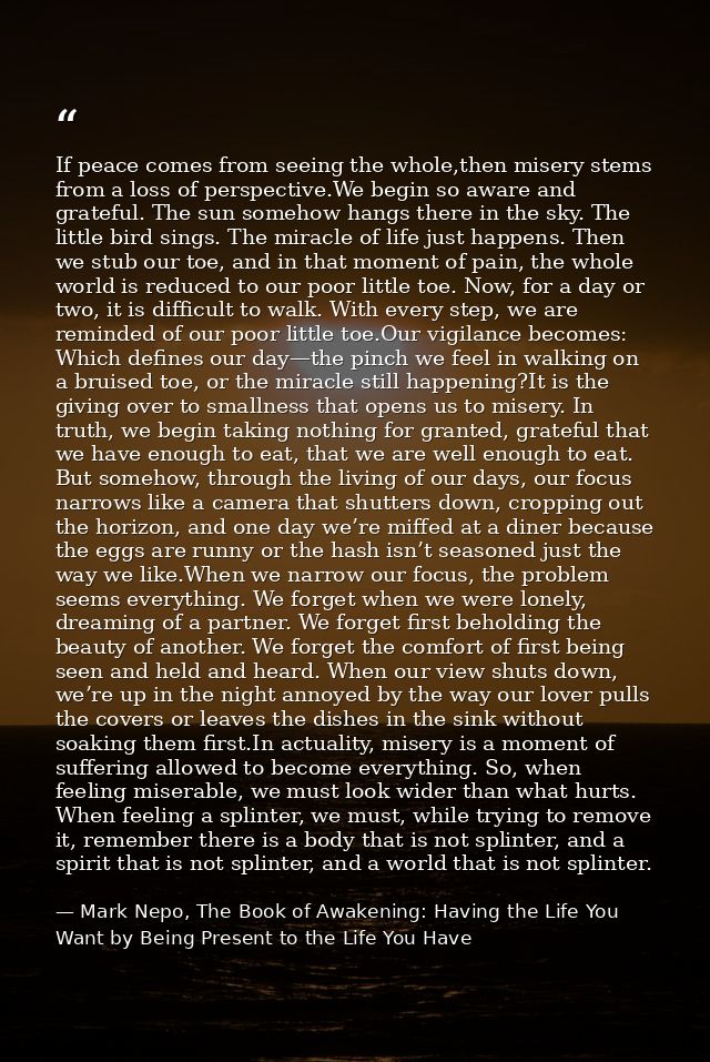 If peace comes from seeing the whole,then misery stems from a loss of perspective.We begin so aware and grateful. The su — Mark Nepo, The Book of Awakening: Having the Life You Want by Being Present to the Life You Have
