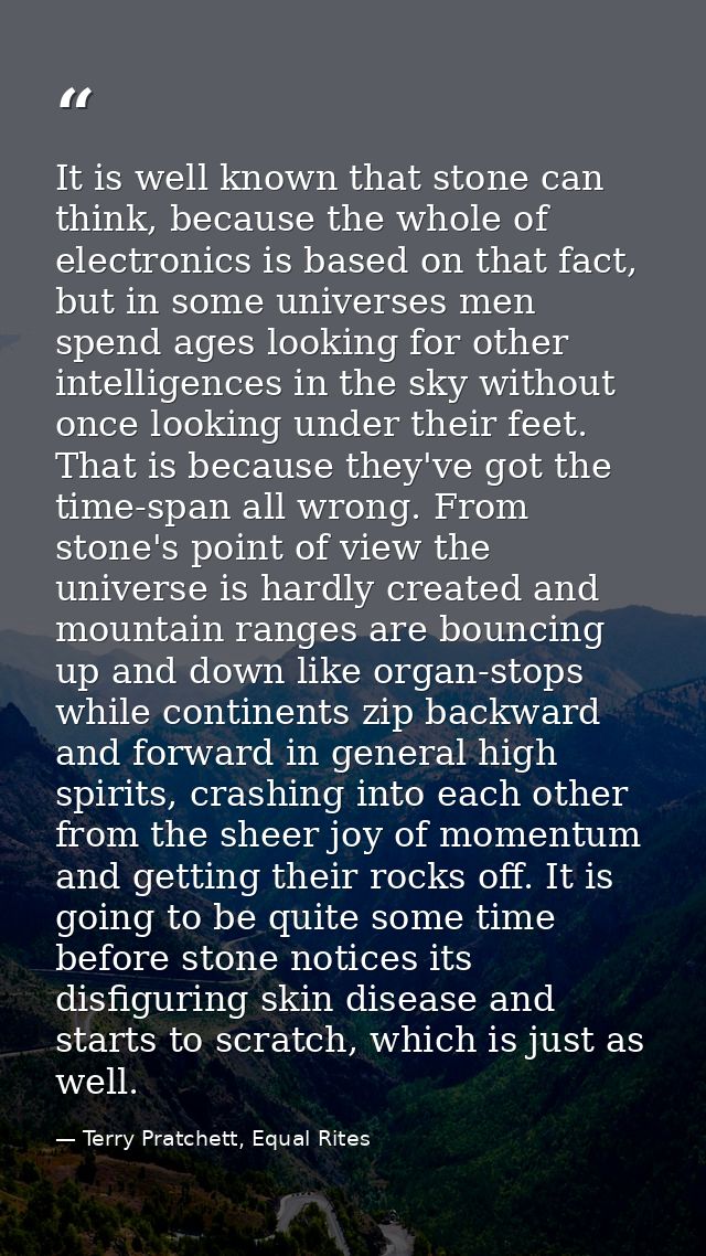 It is well known that stone can think, because the whole of electronics is based on that fact, but in some universes men — Terry Pratchett, Equal Rites